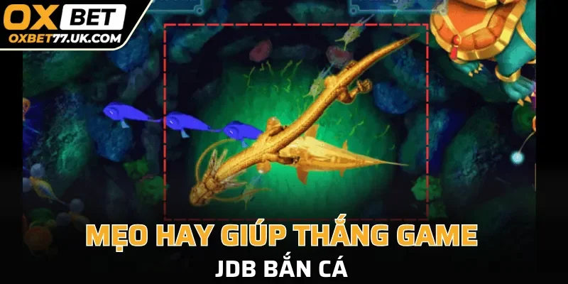 Mẹo hay giúp thắng nhanh JDB bắn cá  